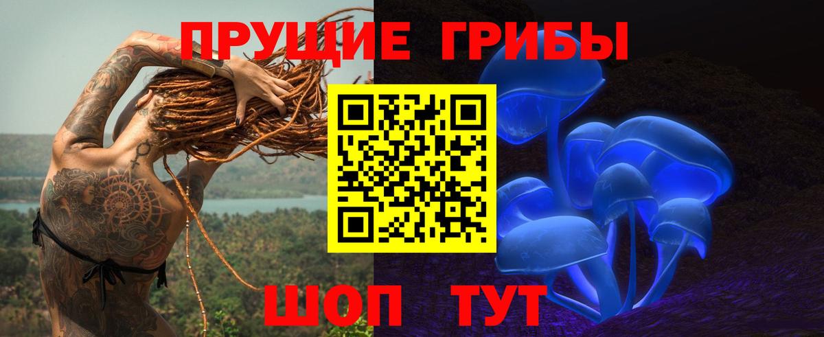 Галлюциногенные грибы Psilocybine cubensis Амурск